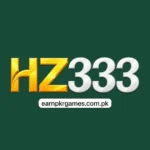 HZ333