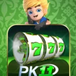 PK11